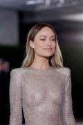 Olivia Wilde in see  through