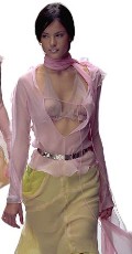Alessandra Ambrosio in See through blouse