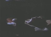 Ally Sheedy nude in One Night Stand