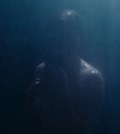 Amy Adams in Nocturnal Animals