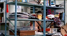 Barbara Hershey nude in Pursuit of Happiness, The