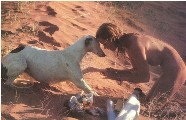 Bo Derek nude in LUI