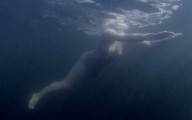 Catherine H. Flemming nude in Polizeiruf 110