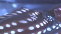 Cindy Crawford nude in Fair Game