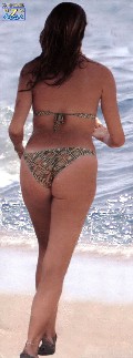 Claudia Gerini in brown bikini