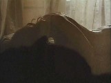 Dana Delany nude in Exit to Eden
