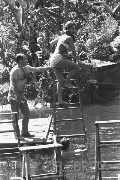 Dawn Wells in Gilligan's Island