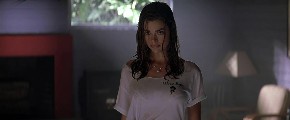 Denise Richards nude in Wild Things