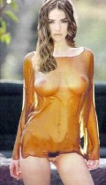 Denise Richards fake picture
