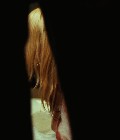 Deon Stein nude in Never Back Down