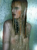 Guinevere van Seenus  in Flair IT