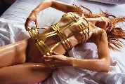 Guinevere van Seenus  nude in V
