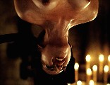 Heather Matarazzo nude in Hostel: Part II