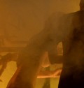 Helena Mattsson nude in Species: The Awakening