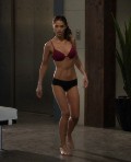 Janet Montgomery in "Human Target"