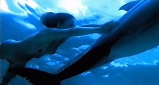 Julia Brendler nude in Dolphins