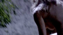 Katee Sackhoff in "Battlestar Galactica"