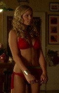 Laura Vandervoort in "Smallville"