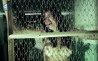 Marieh Delfino nude in Penance