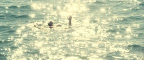 Marion Cotillard nude in De rouille et d'os