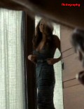 Moon Bloodgood nude in What Just Happened