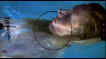 Morgan Fairchild nude in The Seduction