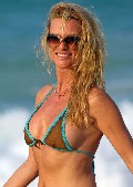 Nicollette Sheridan nude in Nip slip