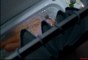 Nikki Sanderson nude in Boogeyman 3