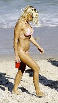 Pamela Anderson in bikini