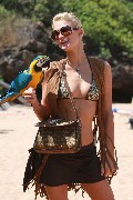 Paris Hilton in bikini photoshoot