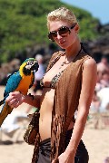 Paris Hilton in bikini photoshoot