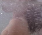 Shannen Doherty nude in "Charmed"