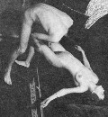 Sirpa Lane nude in Jeune fille assassinée, La