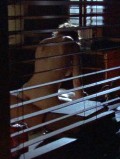 Tara Spencer-Nairn nude in "ReGenesis"