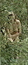 Aurore Clément nude in Lacombe Lucien