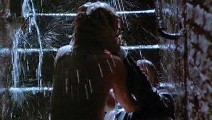 Kim Basinger nude in Nine 1/2 Weeks