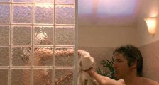 Sharon Stone nude in Intersection