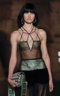 Candice Swanepoel in see  through