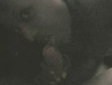 Nicole Narain nude in Colin Farrell sex tape