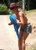 Denise Richards in bikini
