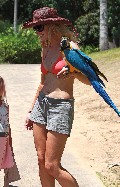 Denise Richards in bikini