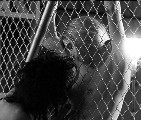 Elizabeth Mitchell nude in Gia
