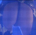 Halle Berry in The Last Boy Scout