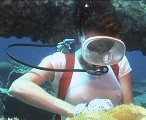 Jacqueline Bisset in The Deep