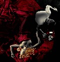 Jaime King nude in Sin City