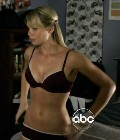 Laura Vandervoort in V
