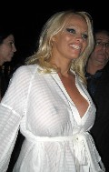 Pamela Anderson in Grand Prix party