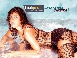Priyanka Chopra in wallpapers