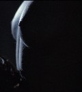 Robin Wright nude in State of Grace