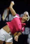Sania Mirza in on the court